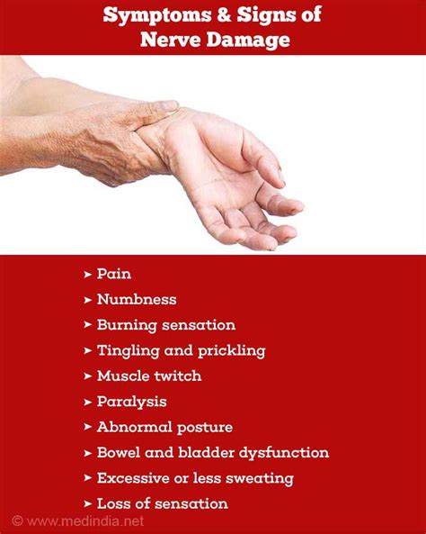 Signs and Symptoms of Nerve Damage .